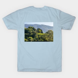 Costa Rica Morning Mountain Haze T-Shirt